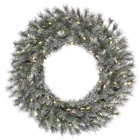 24" Pre-Lit Frosted Lacey Wreath with 50 Warm White Dura-Lit LED Lights