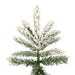 A895165 Holiday/Christmas/Christmas Trees