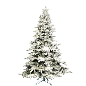 A895165 Holiday/Christmas/Christmas Trees