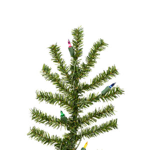 A805172 Holiday/Christmas/Christmas Trees