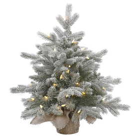 24" Pre-Lit Frosted Sable Pine Artificial Christmas Tree with Clear Dura-Lit Lights