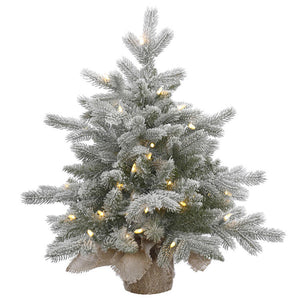 A156621 Holiday/Christmas/Christmas Trees