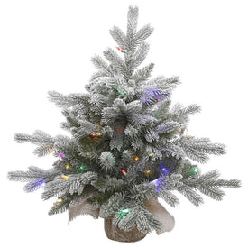 24" Pre-Lit Frosted Sable Pine Artificial Christmas Tree with Multi-Colored Dura-Lit LED Lights