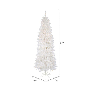 A104076 Holiday/Christmas/Christmas Trees