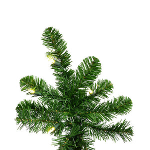 A107456LED Holiday/Christmas/Christmas Trees
