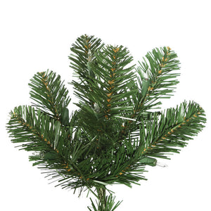 C164026 Holiday/Christmas/Christmas Trees