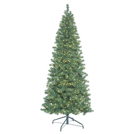 6.5' Pre-Lit Oregon Fir Slim Artificial Christmas Tree with Warm White Wide-Angle LED Lights