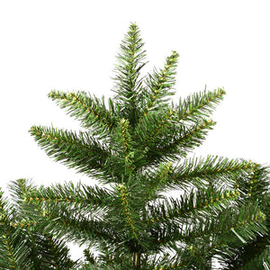 A860880 Holiday/Christmas/Christmas Trees