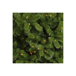 A107456 Holiday/Christmas/Christmas Trees