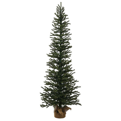 B166850 Holiday/Christmas/Christmas Trees