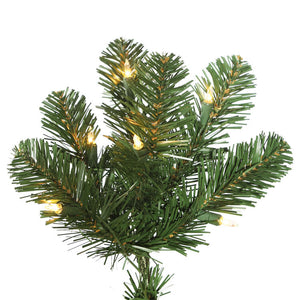 C164027 Holiday/Christmas/Christmas Trees