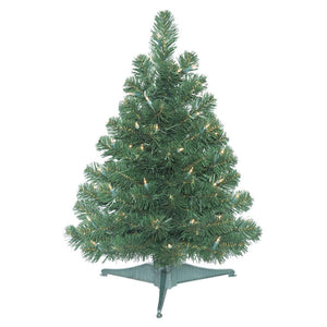 C164027 Holiday/Christmas/Christmas Trees