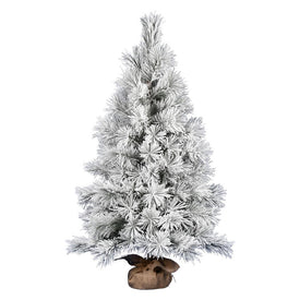 4' Unlit Frosted Beckett Pine Artificial Christmas Tree