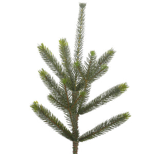 G152270 Holiday/Christmas/Christmas Trees
