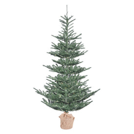 5' Pre-Lit Alberta Blue Spruce Artificial Christmas Tree with Warm White Dura-Lit LED Lights