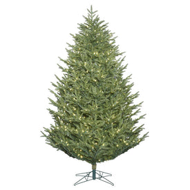 6.5' Pre-Lit Deluxe Frasier Fir Artificial Christmas Tree with 700 Warm White LED Lights