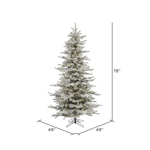 A862066LED Holiday/Christmas/Christmas Trees