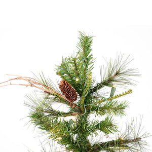 A807561 Holiday/Christmas/Christmas Trees
