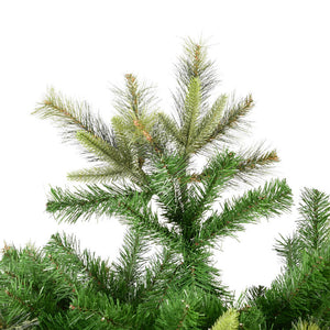 A118245 Holiday/Christmas/Christmas Trees