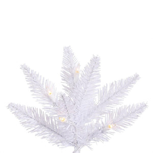 K160230 Holiday/Christmas/Christmas Trees