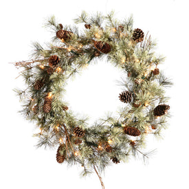 Vickerman 24" Dakota Artificial Christmas Wreath, Warm White Dura-lit LED Mini Lights