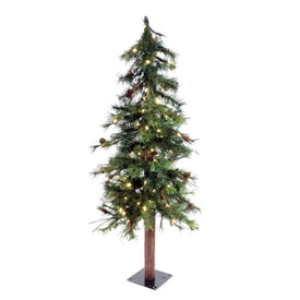 6' Pre-Lit Mixed Country Alpine Artificial Christmas Tree with Warm White Dura-Lit LED Lights