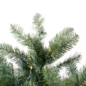A103066LED Holiday/Christmas/Christmas Trees