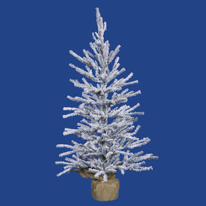 B165240 Holiday/Christmas/Christmas Trees