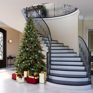 A860945 Holiday/Christmas/Christmas Trees