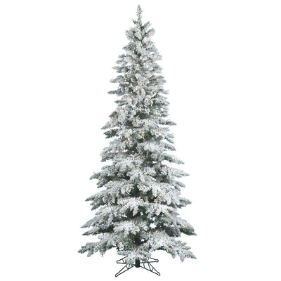 A895076 Holiday/Christmas/Christmas Trees