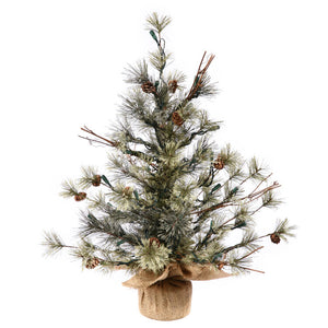 B165427 Holiday/Christmas/Christmas Trees