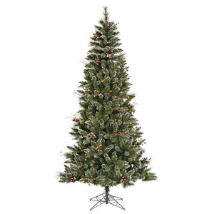 B166246LED Holiday/Christmas/Christmas Trees
