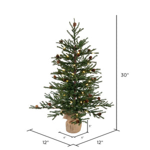 B803924LED Holiday/Christmas/Christmas Trees