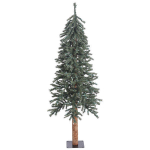 B907350 Holiday/Christmas/Christmas Trees