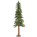 B907350 Holiday/Christmas/Christmas Trees