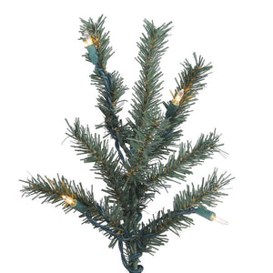 B907381 Holiday/Christmas/Christmas Trees