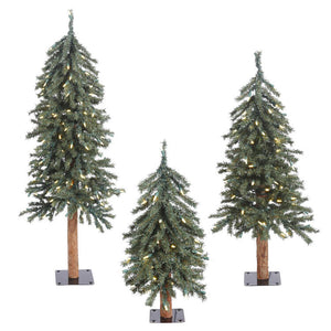 B907381 Holiday/Christmas/Christmas Trees