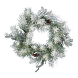 24" Unlit Frosted Ansell Pine Artificial Wreath