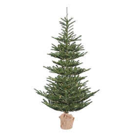 4' Pre-Lit Alberta Spruce Artificial Christmas Tree with Burlap Base and Clear Dura-Lit Lights