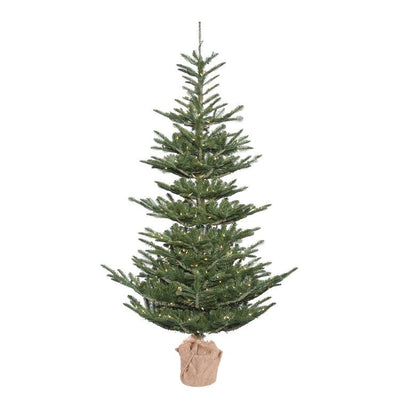 Product Image: G160241 Holiday/Christmas/Christmas Trees