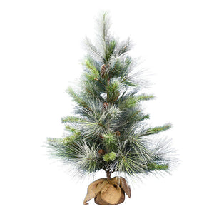 D182040 Holiday/Christmas/Christmas Trees