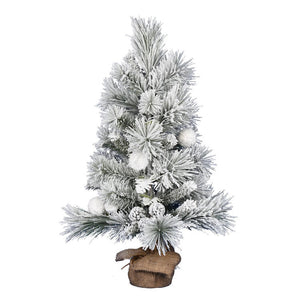 D191030 Holiday/Christmas/Christmas Trees