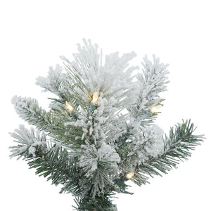 B169071LED Holiday/Christmas/Christmas Trees