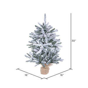 B160530 Holiday/Christmas/Christmas Trees