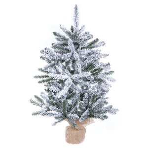 B160530 Holiday/Christmas/Christmas Trees