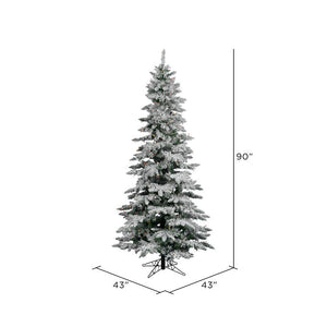 A895077 Holiday/Christmas/Christmas Trees