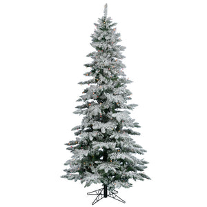 A895077 Holiday/Christmas/Christmas Trees
