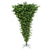 A107476LED Holiday/Christmas/Christmas Trees