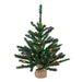 B160426LED Holiday/Christmas/Christmas Trees