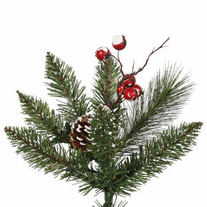 B166237 Holiday/Christmas/Christmas Trees